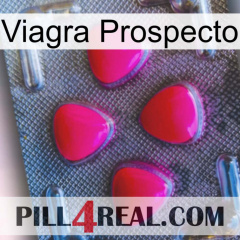 Prospecto Viagra 13